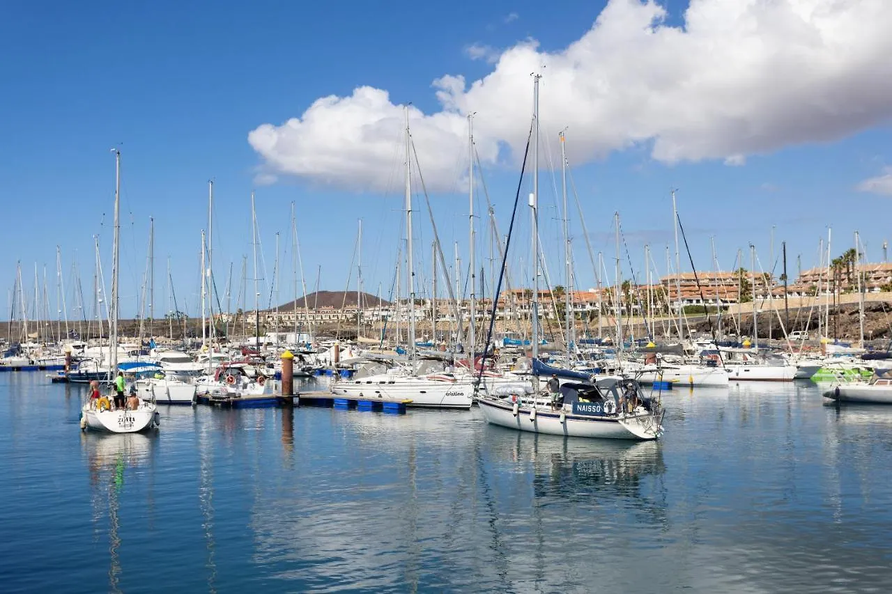 Daire Albatros 234 Holiday Home In Tenerife South San Miguel de Abona